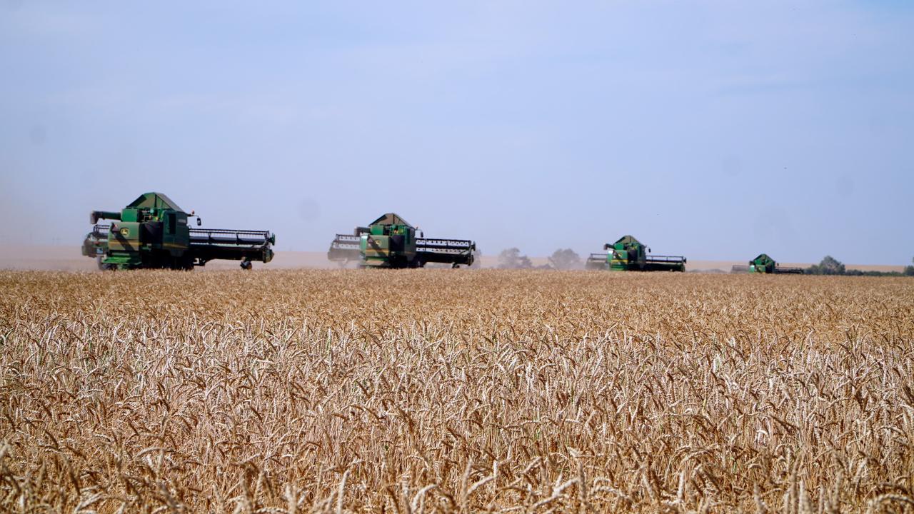 Акмолинская область стала лидером страны по валовому сбору зерновых