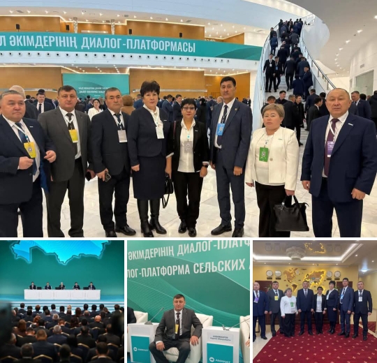 Кладбинка ауылдық округінің әкімі С.Абзалимов  Мемлекет басшысының қатысуымен Астана қаласындағы ауыл әкімдерінің  диалог-платформасына қатысты