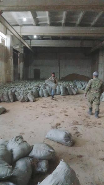 На высохшее дно Аральского моря отправлены семена карабарака