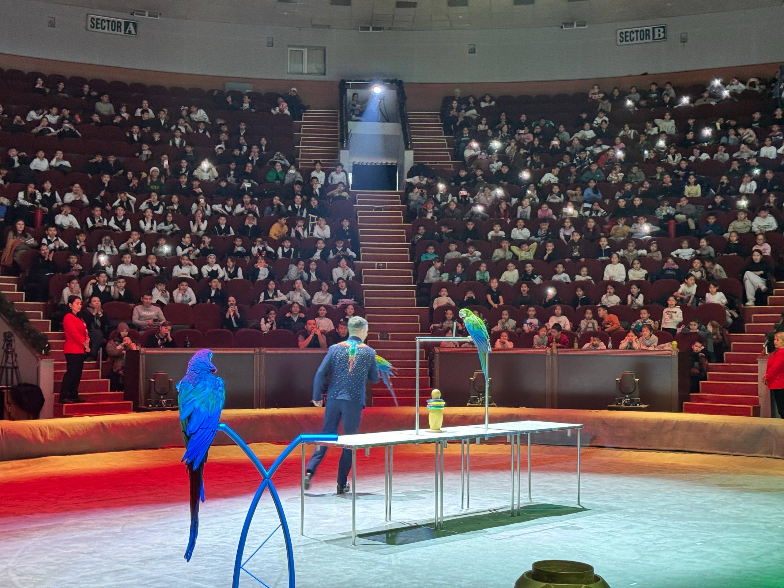 Наурызбай ауданының балаларына арналған Жаңа жылдық мереке жылы әрі қуанышты атмосферада өтті !!!