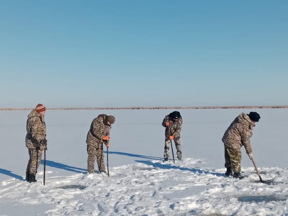 Прорубание лунок предотвращает гибель рыбы