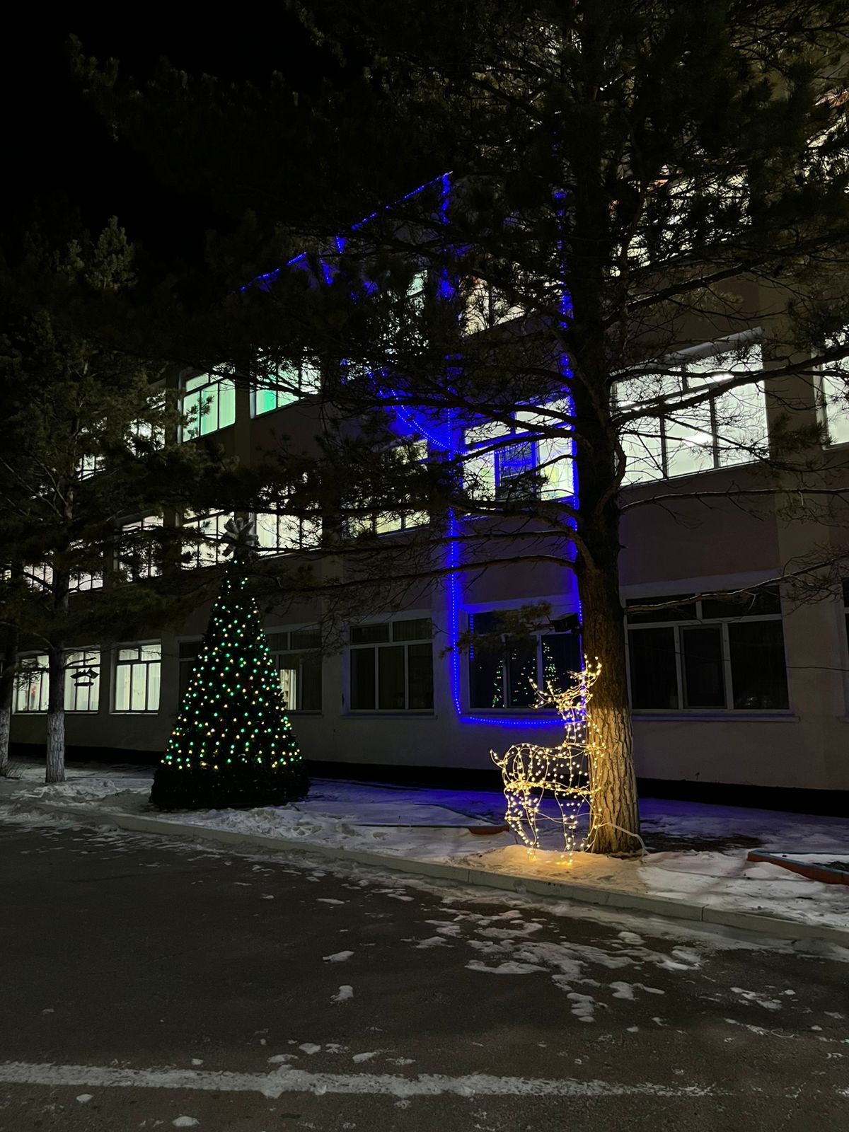В посёлке Станционный на предприятиях и в организациях проводится новогоднее оформление.