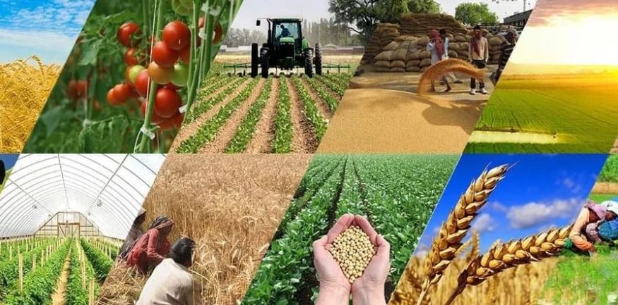 Объявление