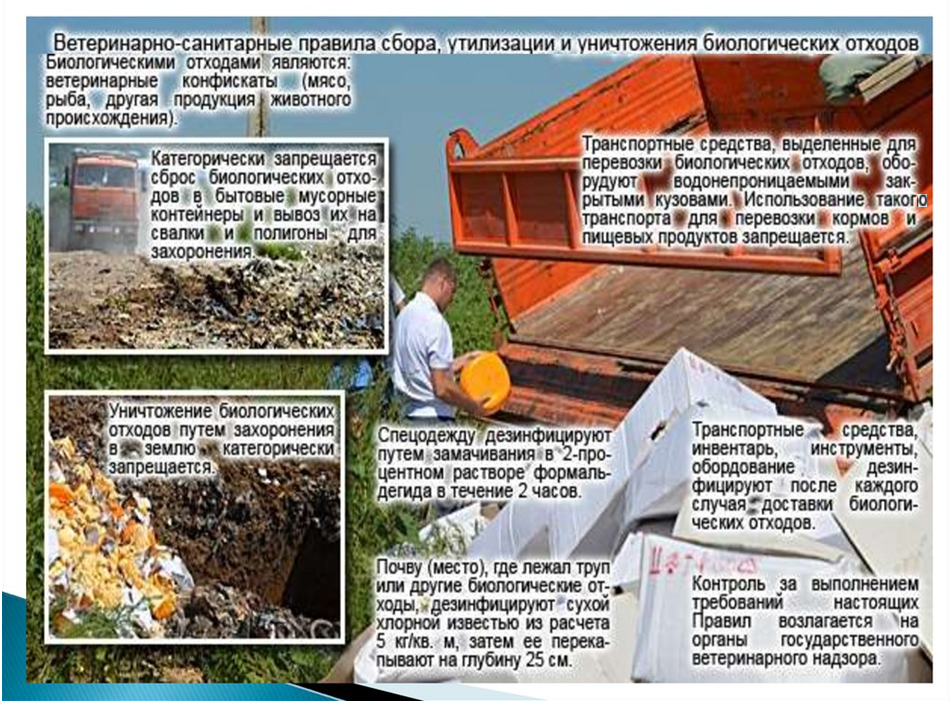Об объектах утилизации биологических отходов