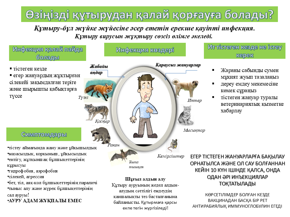 Өзіңізді құтырудан қалай қорғауға болады?