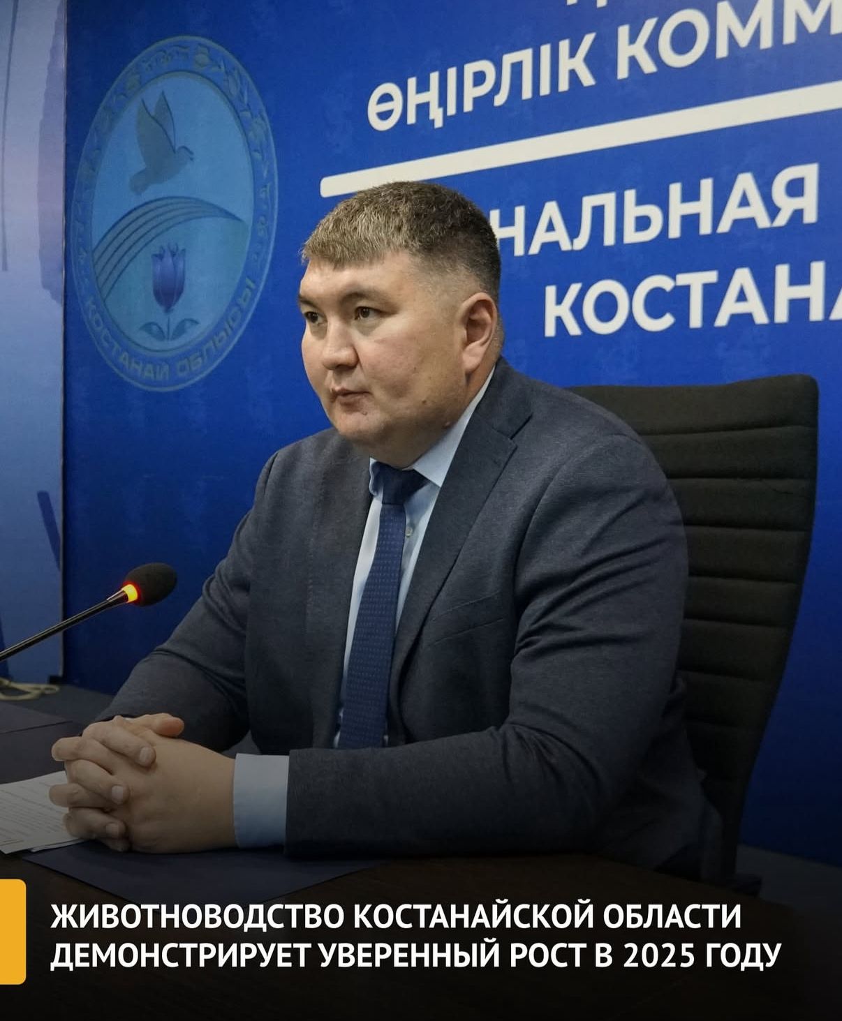 Қостанай облысында мал шаруашылығы саласының тұрақты дамуы байқалады.