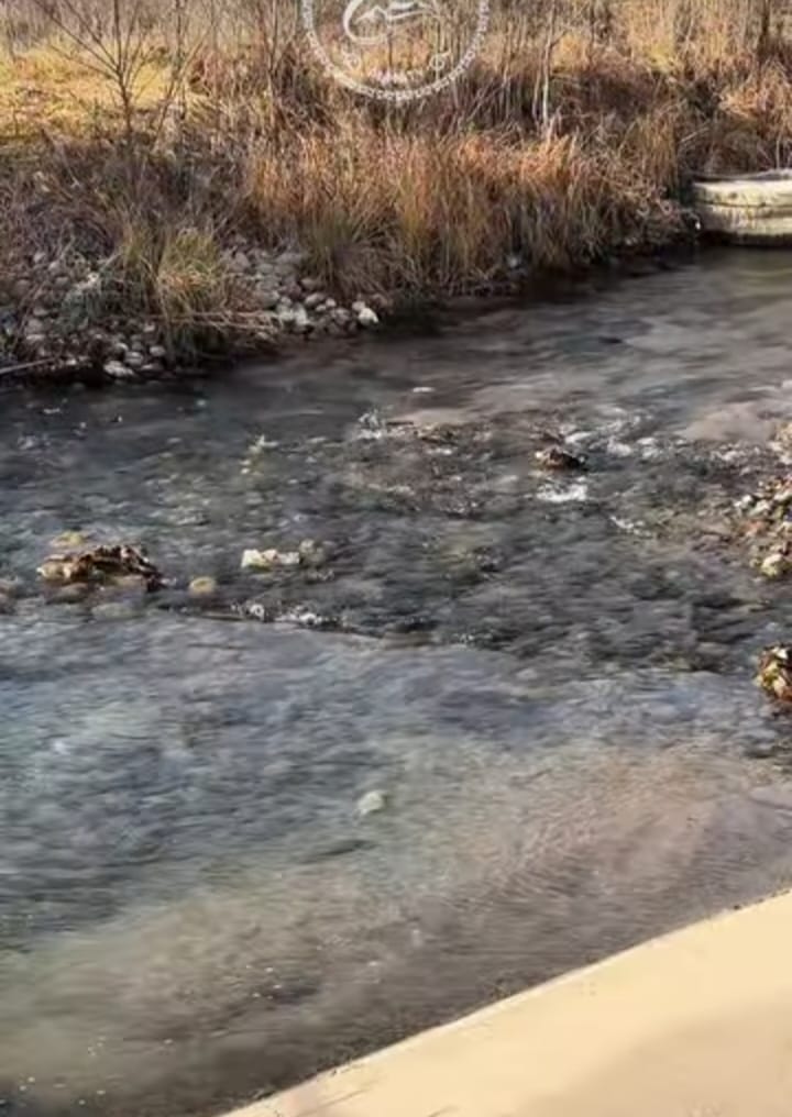 Очистка русел рек