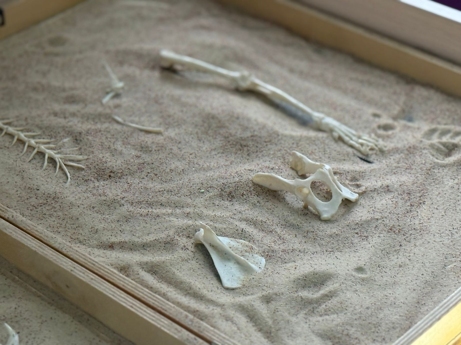 Астанада «Мамандықтар әлемінде» атты қалалық семинар өтті