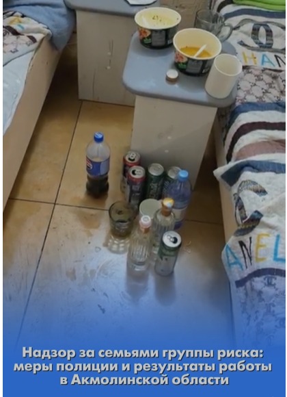 Надзор за семьями группы риска: меры полиции и результаты работы в Акмолинской области