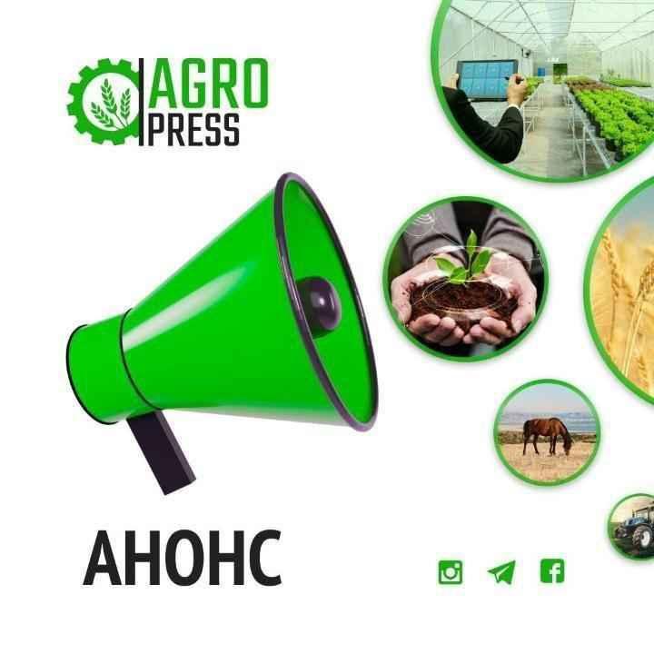 Вице-министр сельского хозяйства проведёт встречу с населением Акмолинской области