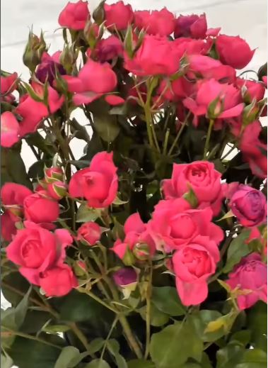 «Жақсылыққа жаралған жүрек» қалалық шығармашылық байқауы