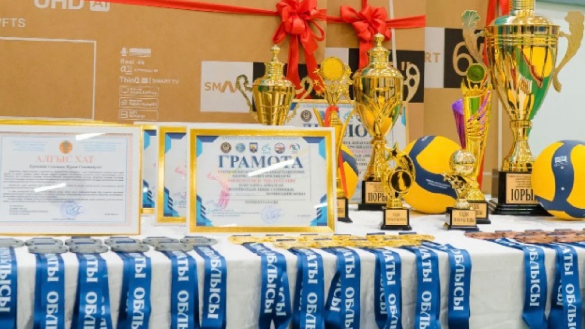 АЛМАТЫ ОБЛЫСЫНДА РЫСБЕК ОЛЖАС РЫСБЕКҰЛЫН ЕСКЕ АЛУҒА АРНАЛҒАН ВОЛЕЙБОЛ ТУРНИРІ ӨТТІ