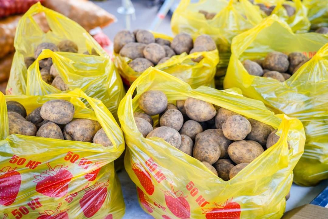 Контроль за ценами на СЗПТ и модернизацией рынков продолжается