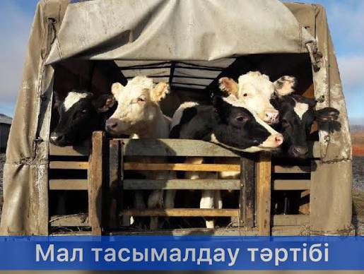 Вниманию жителей, занимающихся разведением, выпасом, продажей и приобретением сельскохозяйственных животных!