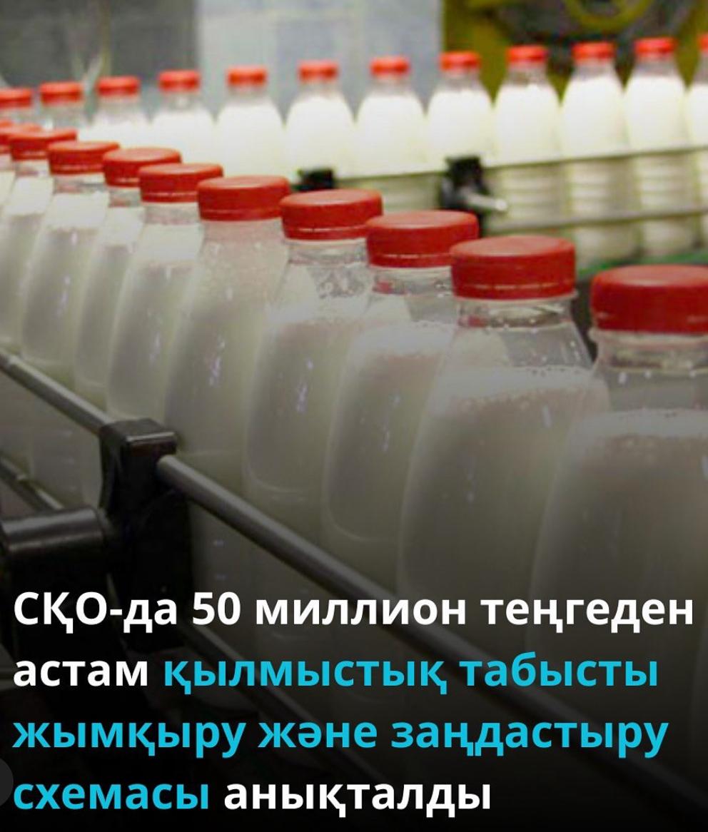 СҚО 50 миллион теңгеден астам қылмыстық табысты жымқыру және заңдастыру схемасы анықталды