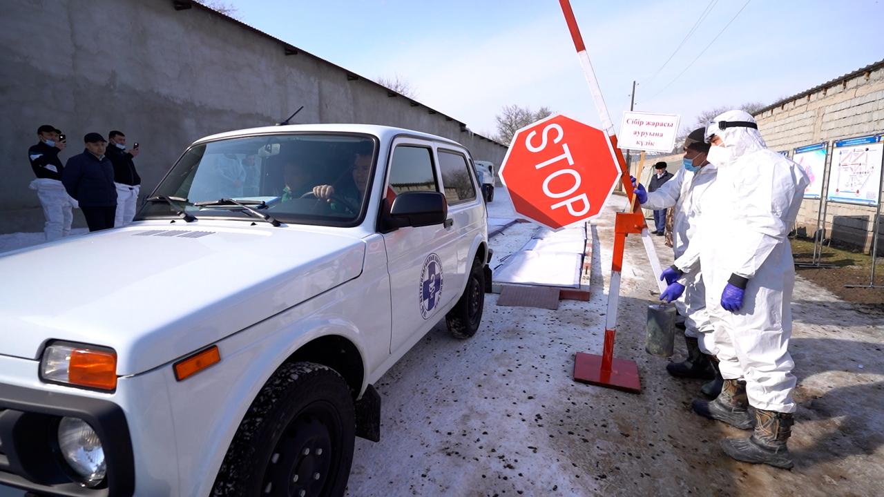 Қазақстанда жануарлардың аса қауіпті ауруларының алдын алу бойынша симуляциялық оқу-жаттығулары өткізілді