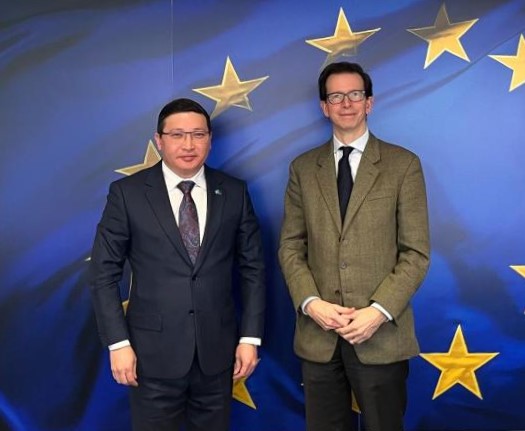 Вопросы сотрудничества с Казахстаном в сфере миграции и гражданской мобильности обсуждены в Брюсселе