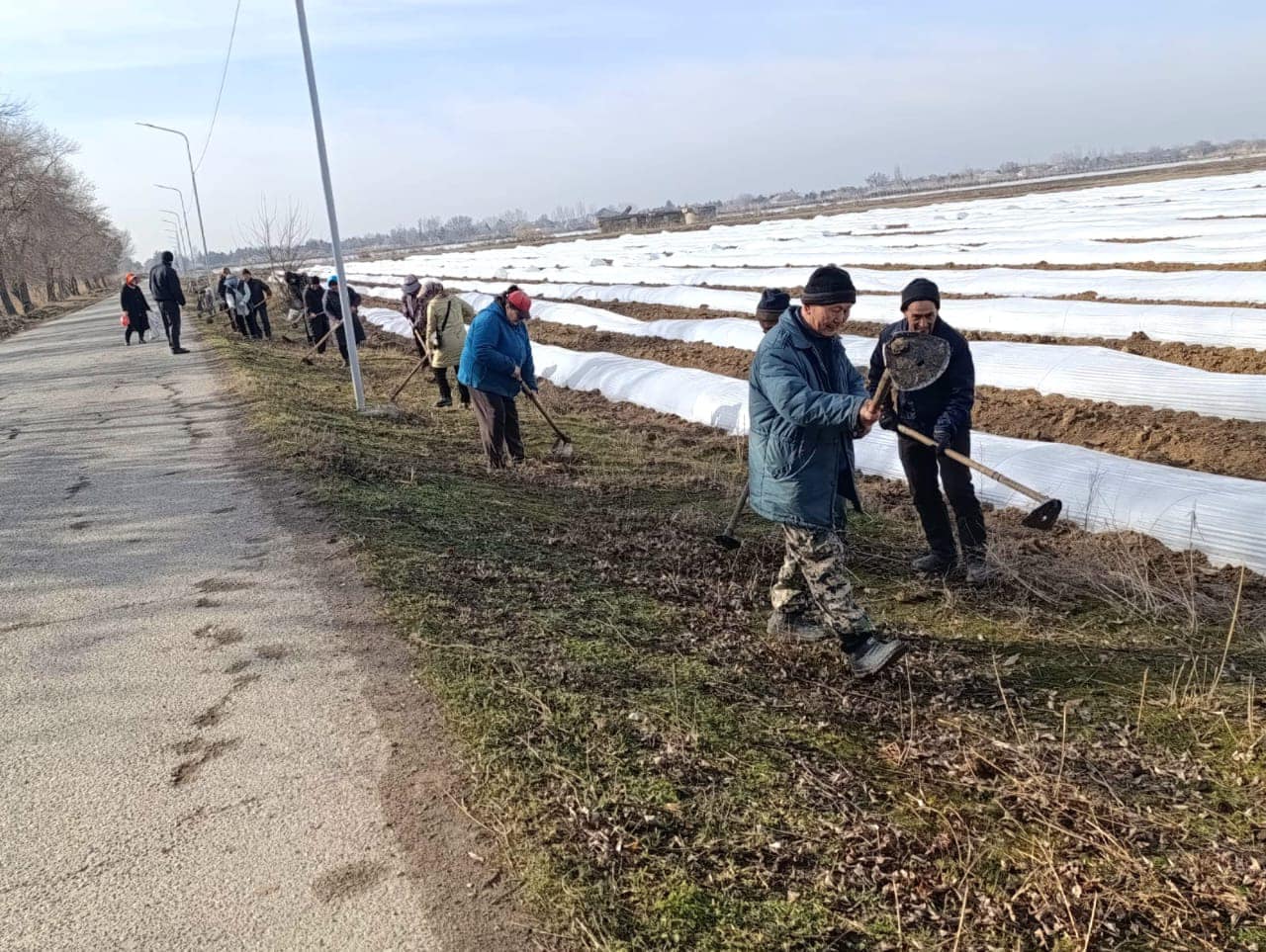 ТҮРКІСТАН: ЖЕТІСАЙДА ТАЗАЛЫҚ ЖҰМЫСТАРЫ ҚАРҚЫНДЫ ЖҮРГІЗІЛІП ЖАТЫР