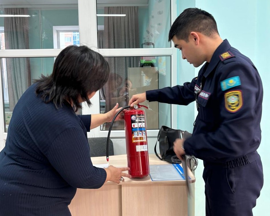 Итоги государственного пожарного контроля и надзора за 2024 год