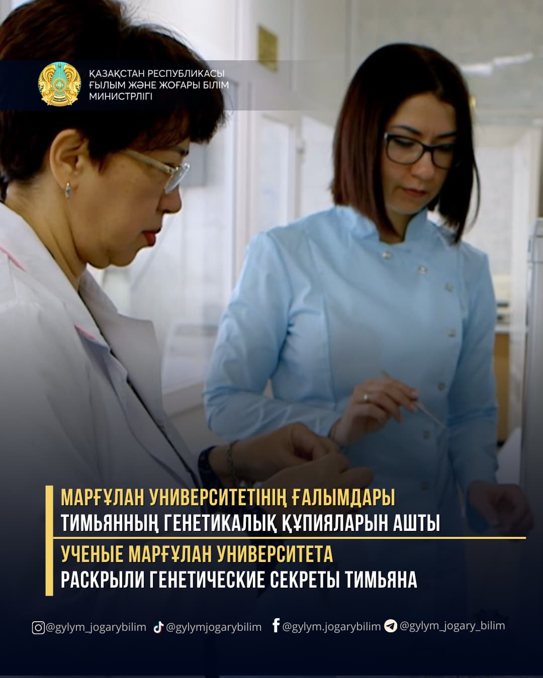 МАРҒҰЛАН УНИВЕРСИТЕТІНІҢ ҒАЛЫМДАРЫ ТИМЬЯННЫҢ ГЕНЕТИКАЛЫҚ ҚҰПИЯЛАРЫН АШТЫ
