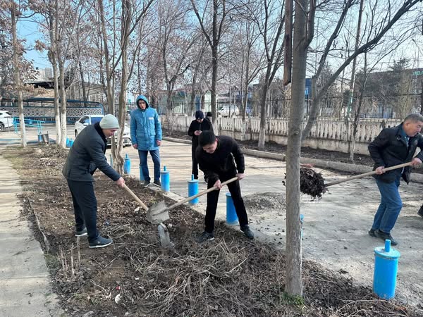 ТҮРКІСТАН: ЖЕТІСАЙДА ЭКОЛОГИЯЛЫҚ СЕНБІЛІКТЕР ЖАЛҒАСУДА