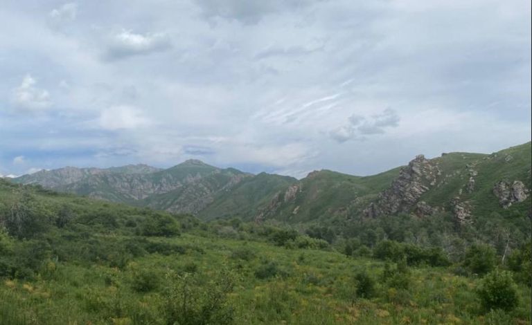 Облысымызда пайдаланылмайтын ауыл шаруашылығы жерлері қайтарылуда