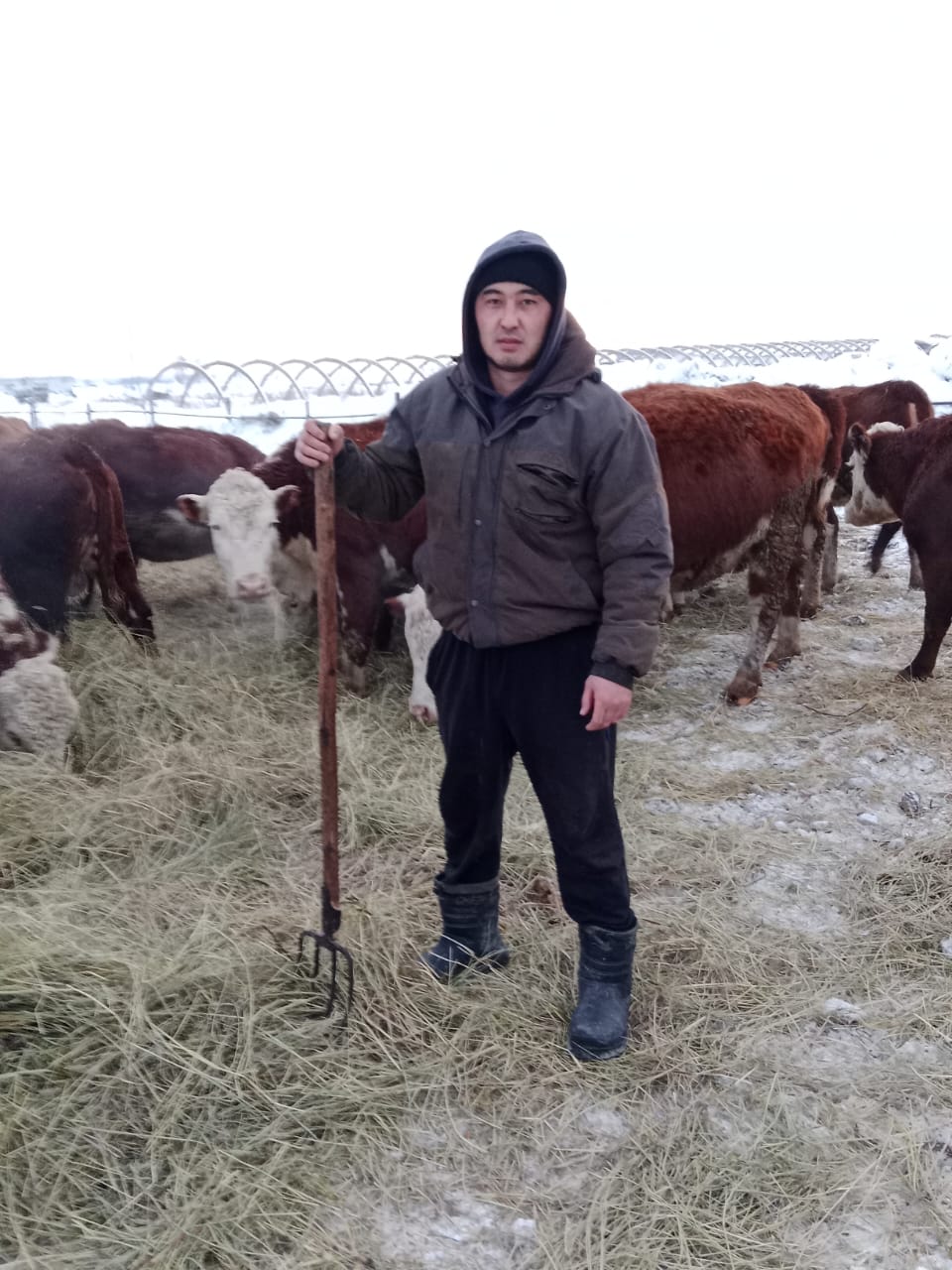Рабочая профессия крестьянское хозяйство "Бекхожин С. У"