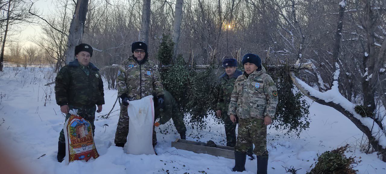 Лесники области Абай поддерживают диких животных в суровые морозы