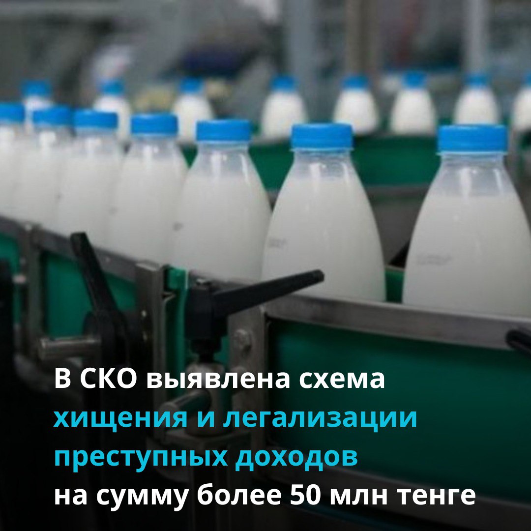 В СКО выявлена схема хищения и легализации преступных доходов на сумму более 50 млн тенге