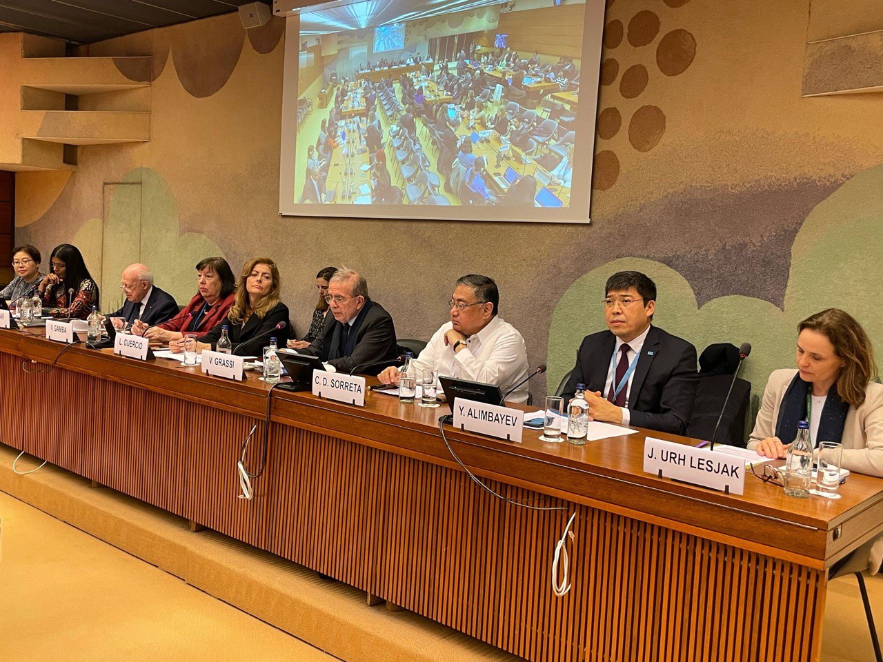 UN Human Rights Council focuses on the protection of children in armed conflict and new technologies