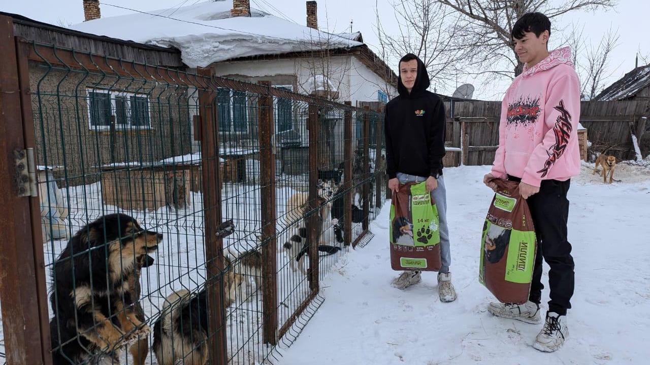 «Таза Қазақстан»: Абай ауданының еріктілері баспанасыз жануарларға көмектесуде