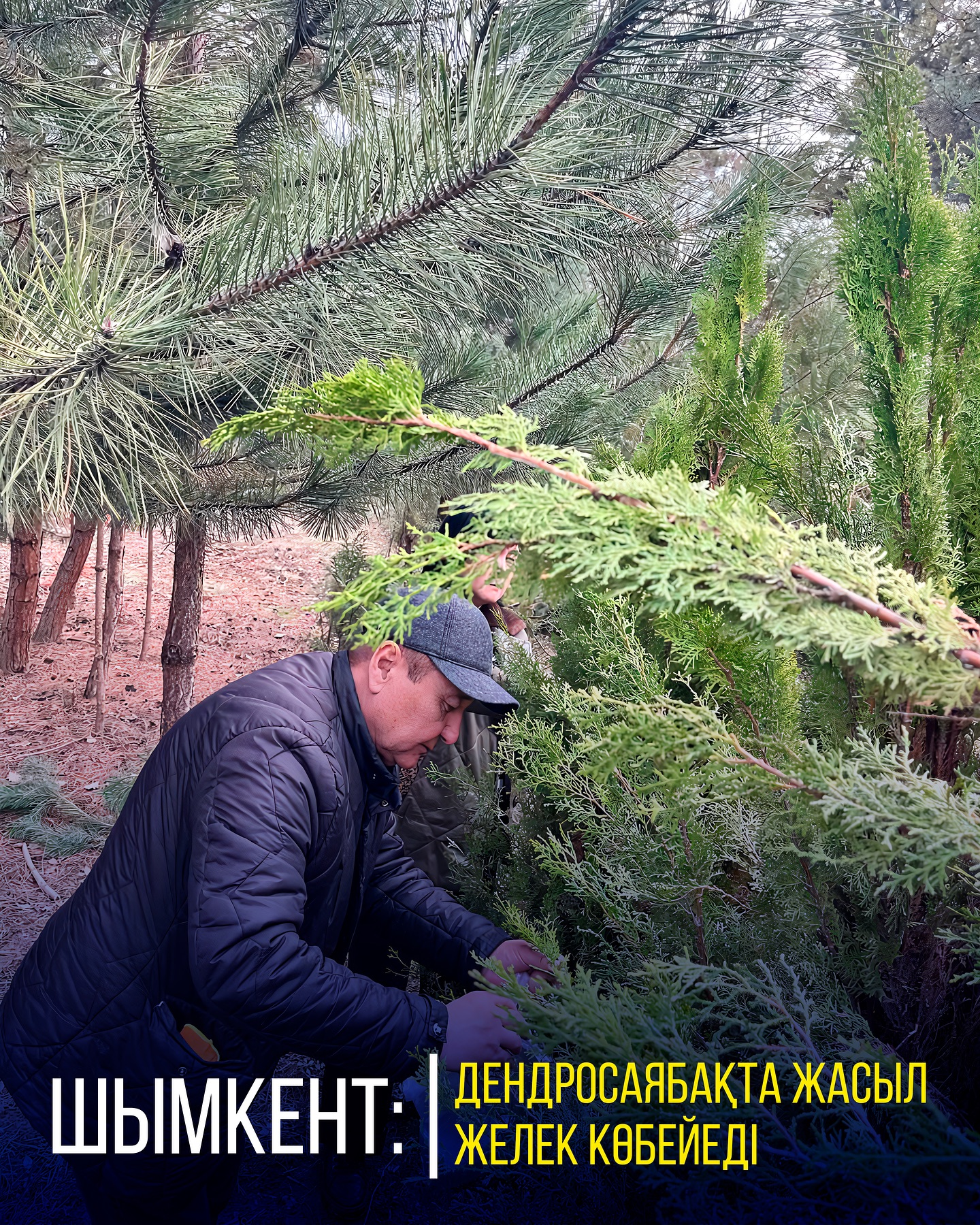 ШЫМКЕНТ: В ДЕНДРАРИИ НОВОЕ ПОСТУПЛЕНИЕ