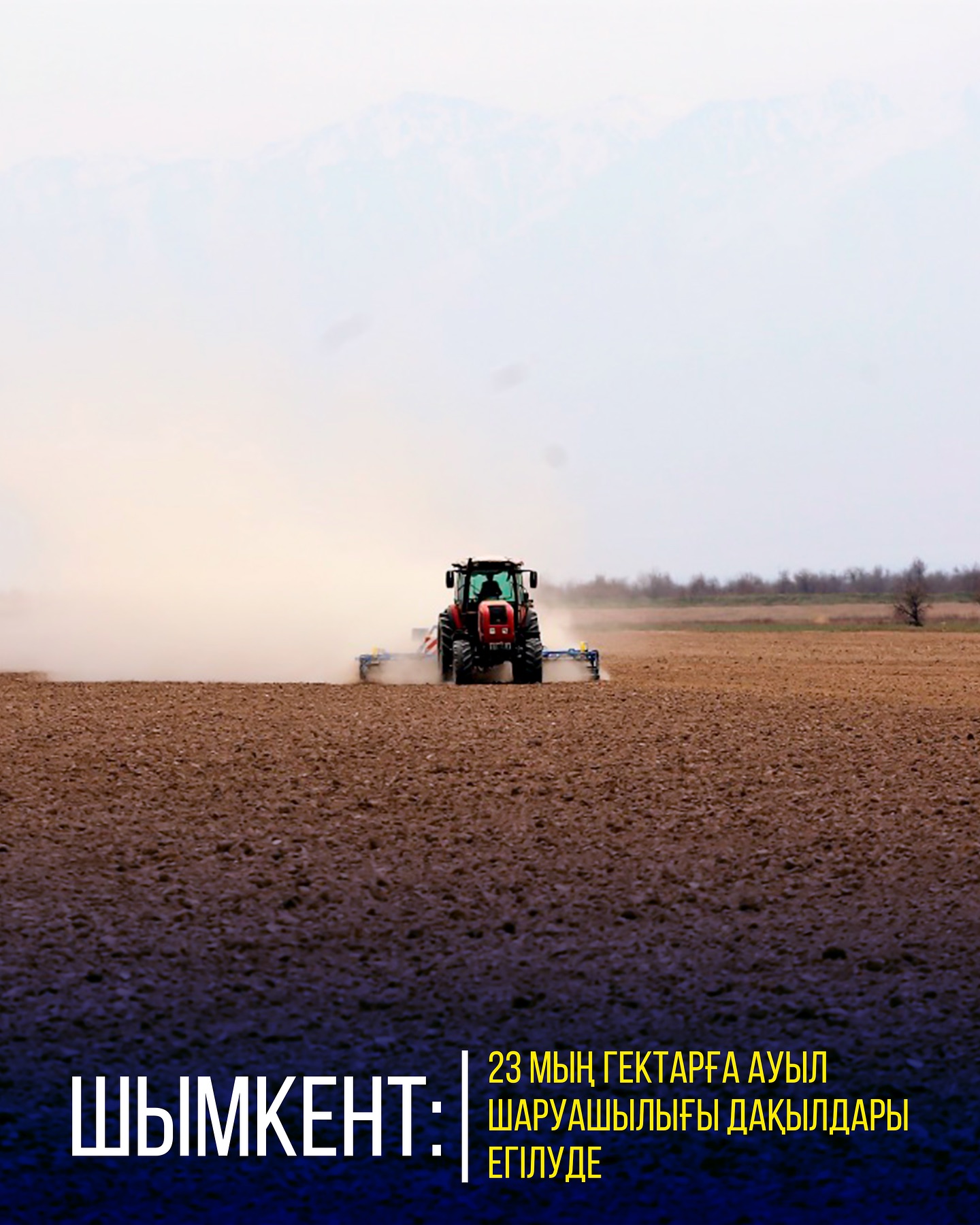 ШЫМКЕНТ: 23 МЫҢ ГЕКТАРҒА АУЫЛ ШАРУАШЫЛЫҒЫ ДАҚЫЛДАРЫ ЕГІЛУДЕ
