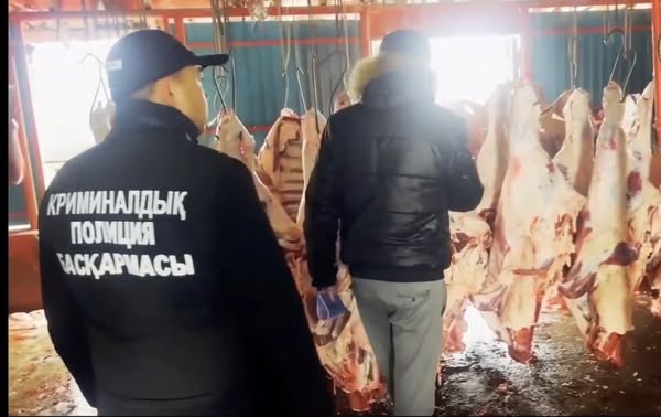 Полиция малұрлығына қатысты 10 қылмысты ашып, 40-тан астам ұрланған малды қайтарды