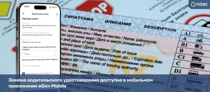 Замена водительского удостоверения доступна в мобильном приложении eGov Mobile