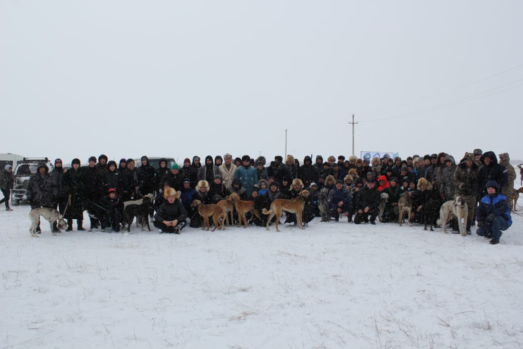 Бұқар жырау ауданында ашық жарыста ең жүйрік тазылар жарысты