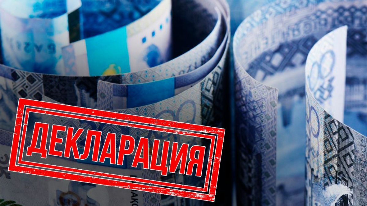 Декларация о доходах и имуществе (270.00)