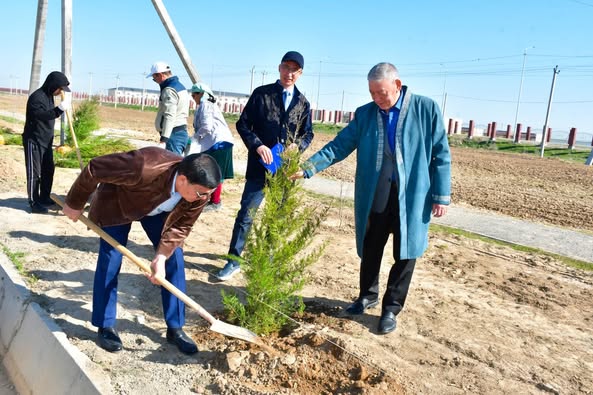 ЖАҢАРУ КҮНІНДЕГІ ЖАҒЫМДЫ ҮРДІС