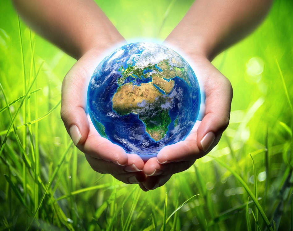 "Ecolife" экочеллендж