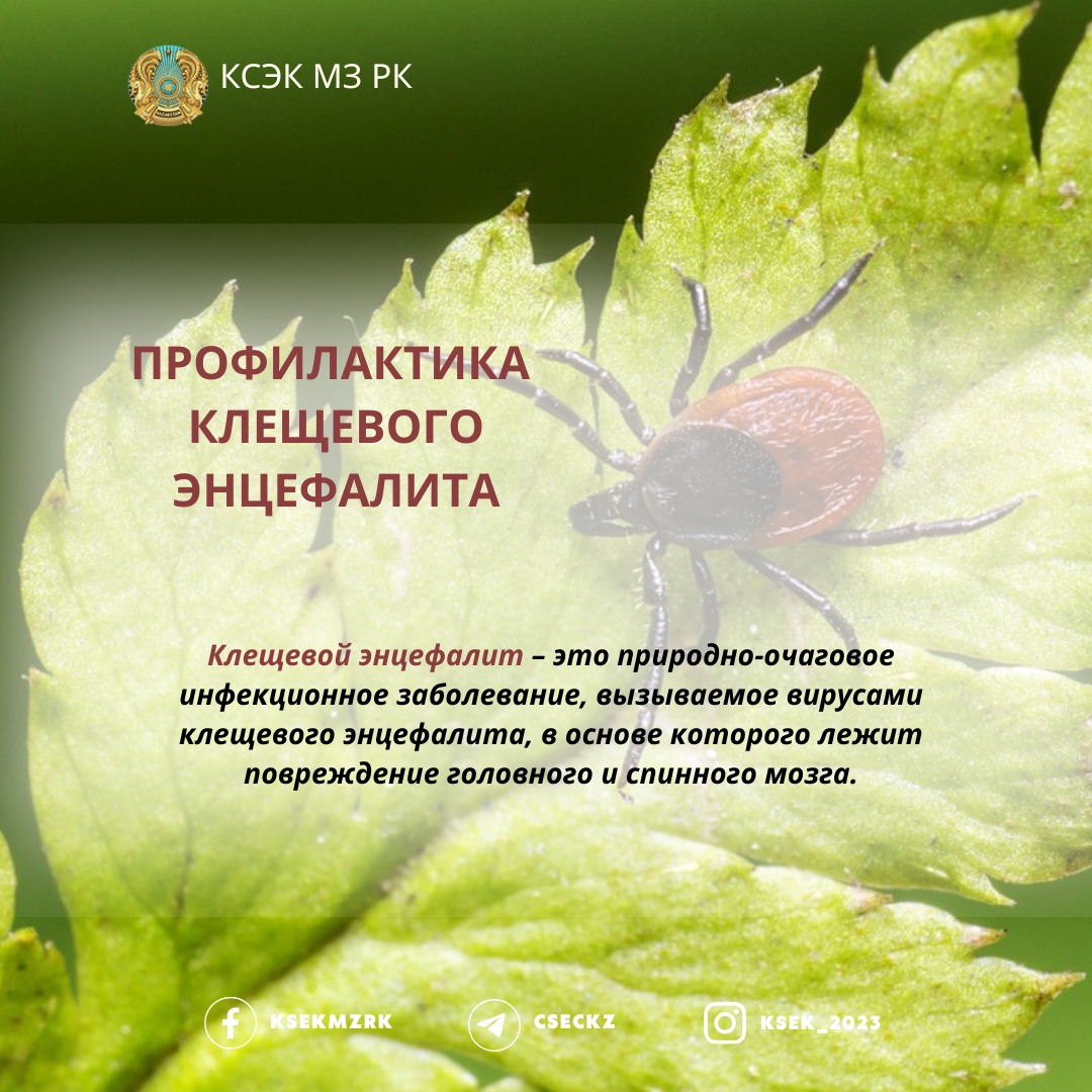 Профилактика клещевого энцефалита