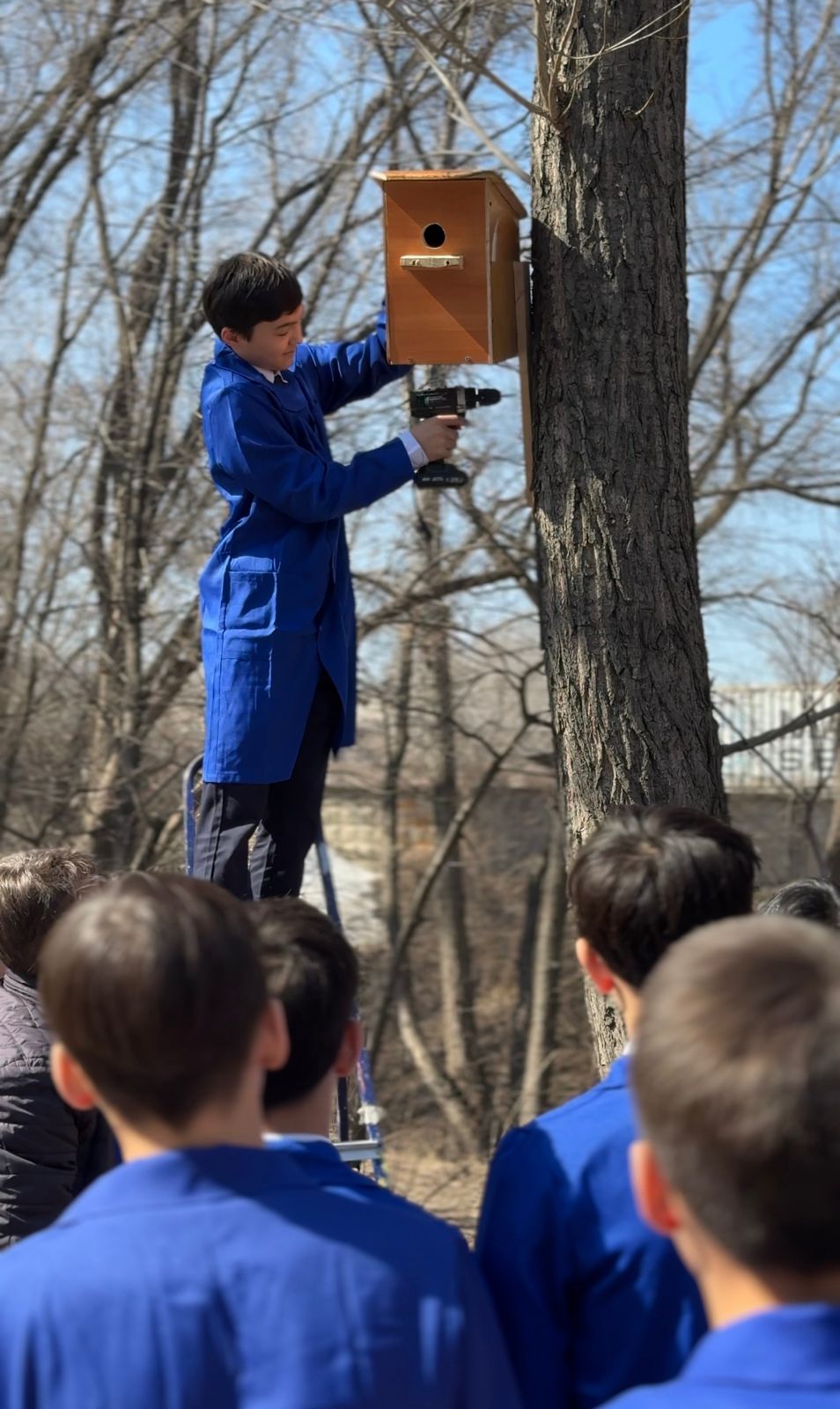 Қанатты достарға арналған жайлы ұя!