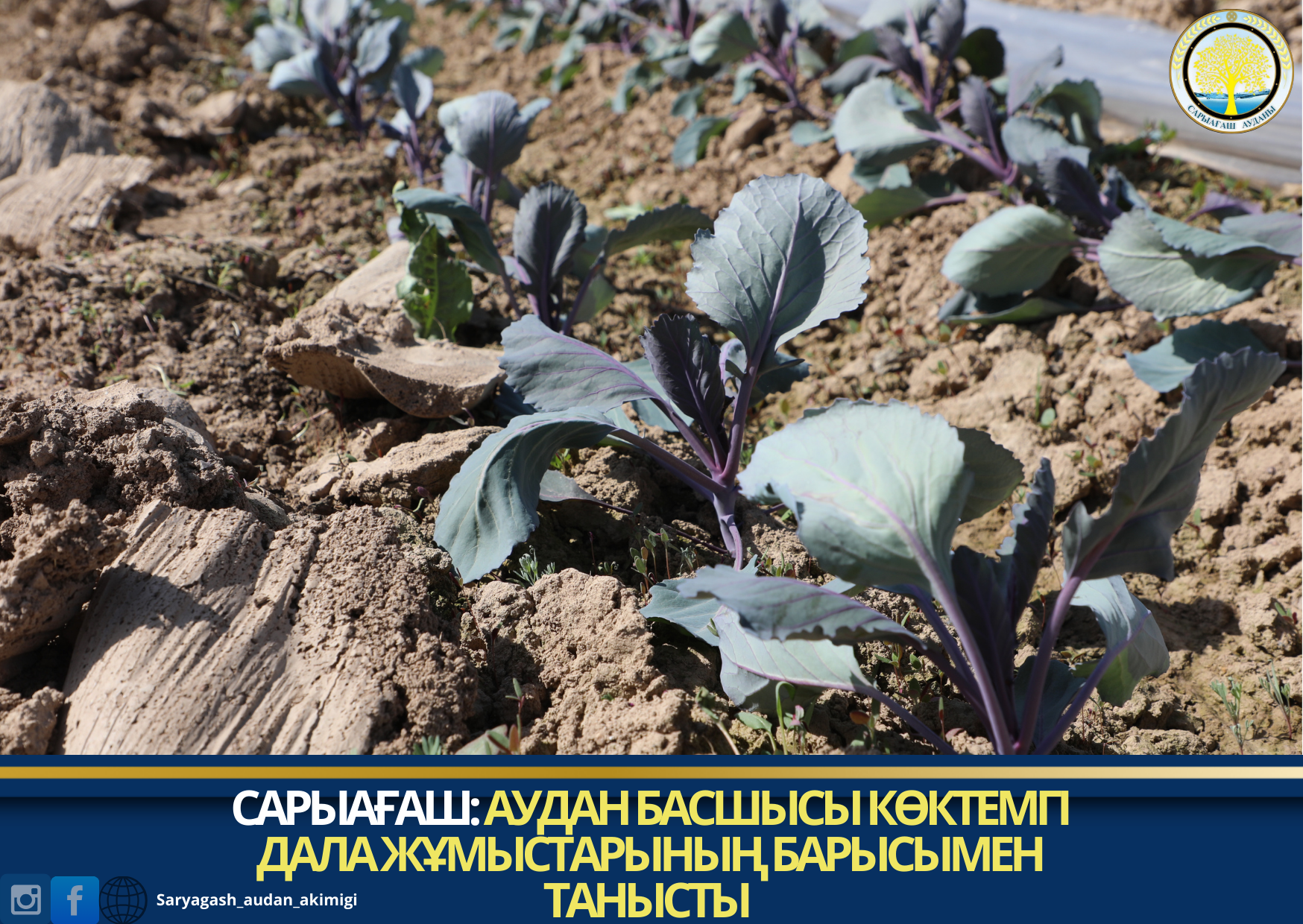 САРЫАҒАШ: АУДАН БАСШЫСЫ КӨКТЕМГІ ДАЛА ЖҰМЫСТАРЫНЫҢ БАРЫСЫМЕН ТАНЫСТЫ