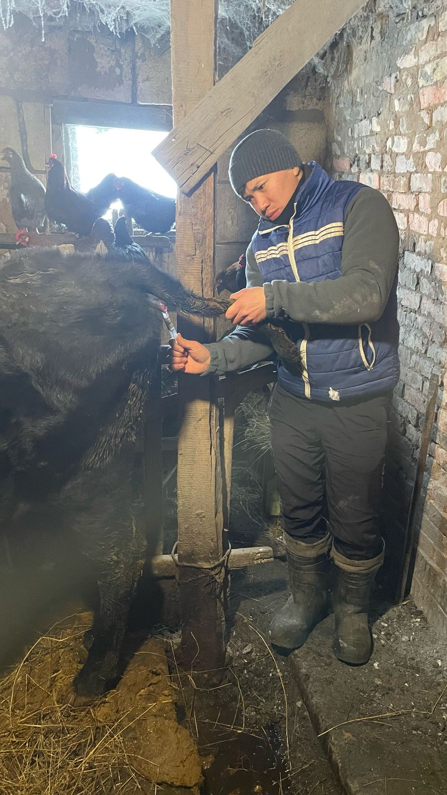 Нұра ауданында мониторинг жүргізілуі туралы