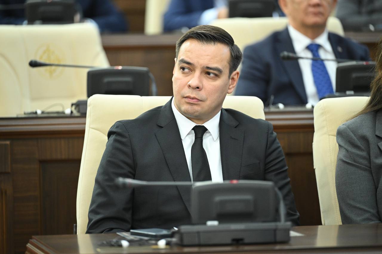 Адам құқықтары жөніндегі уәкіл Мемлекет басшысының реформаларына арналған Мәжілістің пленарлық отырысына қатысты