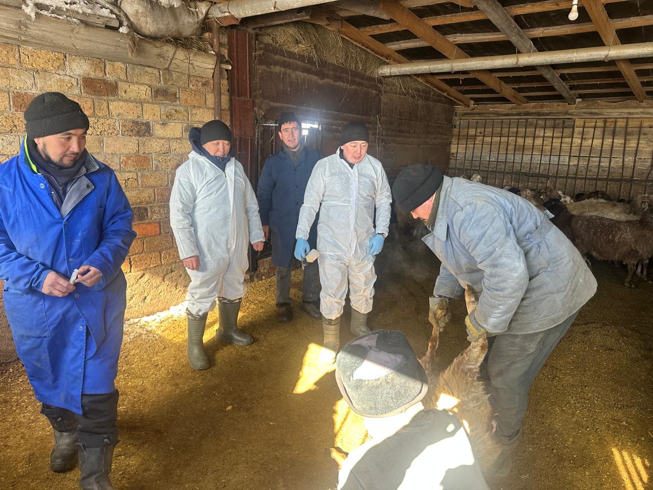 Шет ауданында мониторинг жүргізілуі туралы