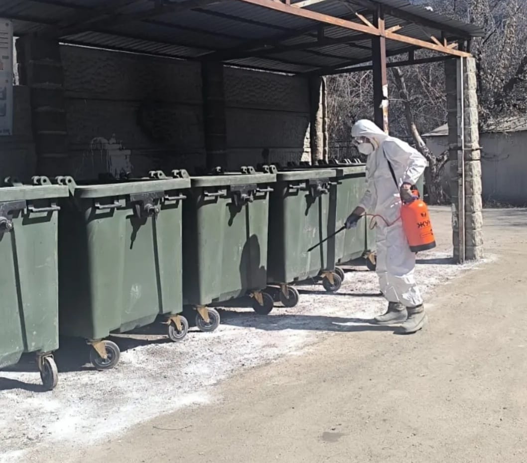 Алматы – біздің ортақ үйіміз: контейнерлік алаңдарды өңдеу