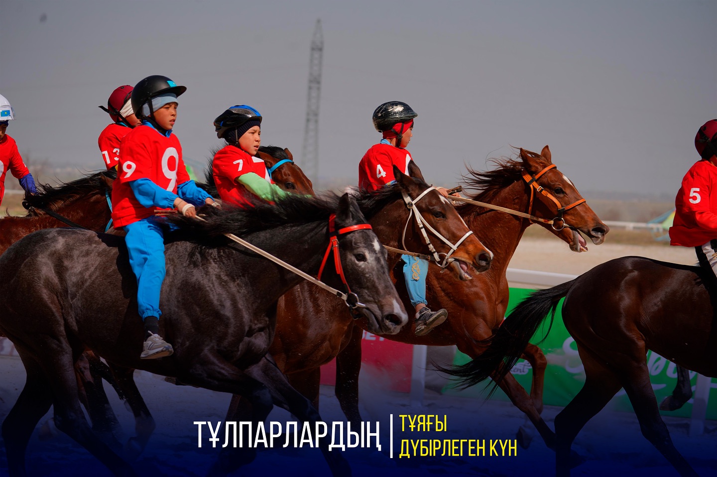 ТҰЛПАРЛАРДЫҢ ТҰЯҒЫ ДҮБІРЛЕГЕН КҮН