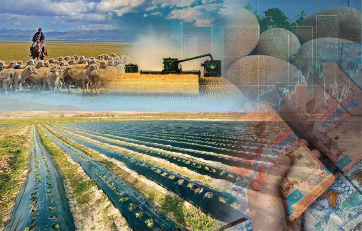 2,5% несиелер: «Ауыл аманаты» бағдарламасы ауыл тұрғындарының әл-ауқатын арттыруға қалай көмектеседі