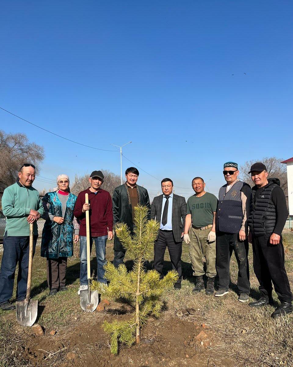 Жетіжал ауылында көгалдандыру акциясы өтті