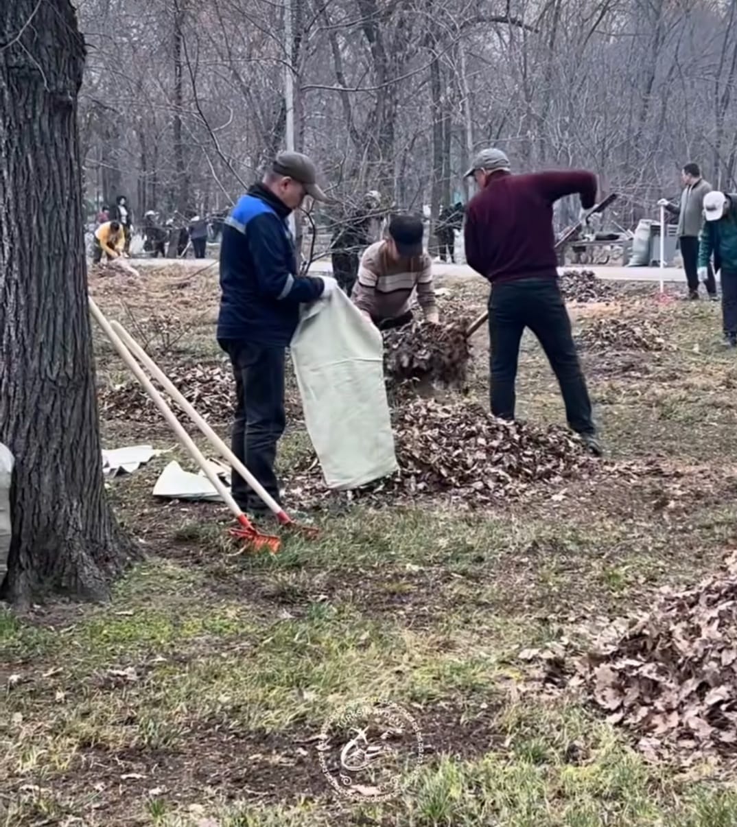 Сейфуллин атындағы саябақта өткен «Almaty Clean & Green» акциясына 400-ден астам адам қатысты